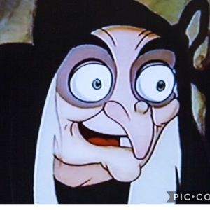 Meet your Posher, Hollie